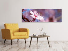 Load image into Gallery viewer, Panoramic Canvas Print Close up cherry blossom
