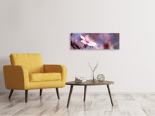 Load image into Gallery viewer, Panoramic Canvas Print Close up cherry blossom
