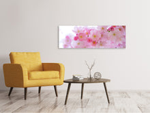 Load image into Gallery viewer, Panoramic Canvas Print Japanese cherry blossom XL
