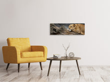 Load image into Gallery viewer, Panoramic Canvas Print Dreaming lioness
