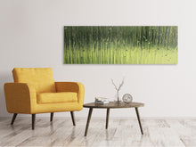Load image into Gallery viewer, Panoramic Canvas Print Satined glass
