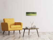 Load image into Gallery viewer, Panoramic Canvas Print Satined glass
