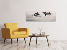 Load image into Gallery viewer, Panoramic Canvas Print The dolphins
