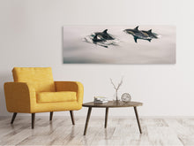 Load image into Gallery viewer, Panoramic Canvas Print The dolphins
