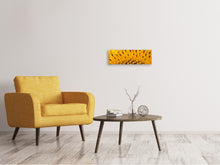 Load image into Gallery viewer, Panoramic Canvas Print The buds of the sunflower in XXL
