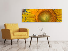 Load image into Gallery viewer, Panoramic Canvas Print Inflorescence of a sunflower

