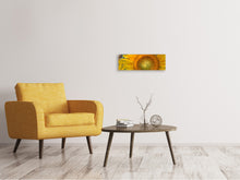 Load image into Gallery viewer, Panoramic Canvas Print Inflorescence of a sunflower
