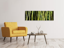Load image into Gallery viewer, Panoramic Canvas Print Fresh bamboo
