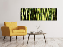 Load image into Gallery viewer, Panoramic Canvas Print Fresh bamboo
