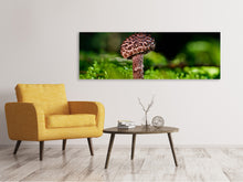 Load image into Gallery viewer, Panoramic Canvas Print Strobilomyces strobilaceus
