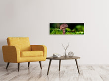 Load image into Gallery viewer, Panoramic Canvas Print Strobilomyces strobilaceus

