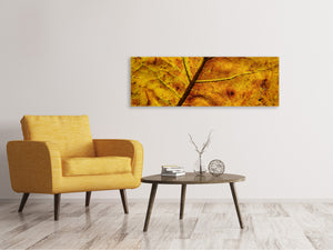 Panoramic Canvas Print The autumn leaf