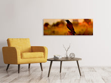 Load image into Gallery viewer, Panoramic Canvas Print The crow in the evening light

