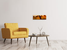 Load image into Gallery viewer, Panoramic Canvas Print The crow in the evening light
