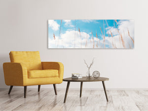 Panoramic Canvas Print Blades of grass in the sky