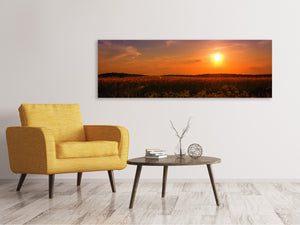 Panoramic Canvas Print Sunset at the flower field