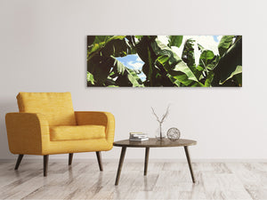 Panoramic Canvas Print In the middle of the jungle