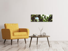 Load image into Gallery viewer, Panoramic Canvas Print In the middle of the jungle
