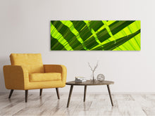Load image into Gallery viewer, Panoramic Canvas Print The palm leaf in XL
