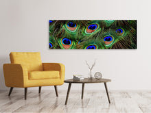 Load image into Gallery viewer, Panoramic Canvas Print Peacock feathers XXL
