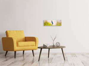 Panoramic Canvas Print The kingfisher