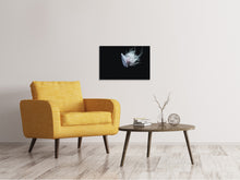 Load image into Gallery viewer, Canvas print Fascinating jellyfish XL
