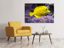 Load image into Gallery viewer, Canvas print The lemon-doctor fish
