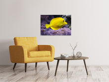 Load image into Gallery viewer, Canvas print The lemon-doctor fish
