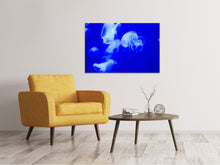 Load image into Gallery viewer, Canvas print Floating jellyfish
