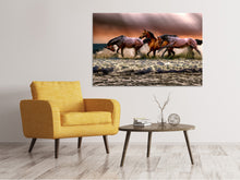 Load image into Gallery viewer, Canvas print Freedom for horses
