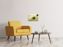 Load image into Gallery viewer, Canvas print Beach leaf

