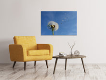 Load image into Gallery viewer, Canvas print Dandelion - I wish for something
