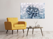 Load image into Gallery viewer, Canvas print Ripe dandelion Close up
