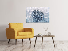 Load image into Gallery viewer, Canvas print Ripe dandelion Close up
