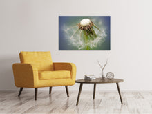 Load image into Gallery viewer, Canvas print Dandelion Close up
