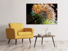 Load image into Gallery viewer, Canvas print Dandelion in the morning dew
