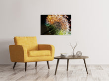 Load image into Gallery viewer, Canvas print Dandelion in the morning dew
