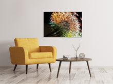 Load image into Gallery viewer, Canvas print Dandelion in the morning dew
