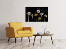 Load image into Gallery viewer, Canvas print The phases of dandelion
