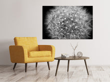 Load image into Gallery viewer, Canvas print Dandelion in XXL
