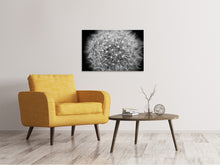 Load image into Gallery viewer, Canvas print Dandelion in XXL
