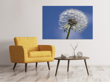 Load image into Gallery viewer, Canvas print The dandelion in XXL
