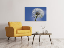 Load image into Gallery viewer, Canvas print The dandelion in XXL
