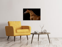 Load image into Gallery viewer, Canvas print Proud horse
