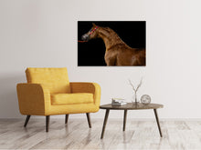 Load image into Gallery viewer, Canvas print Proud horse
