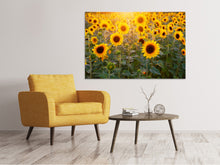 Load image into Gallery viewer, Canvas print Sunflower field
