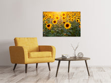 Load image into Gallery viewer, Canvas print Sunflower field
