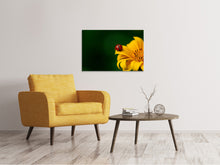 Load image into Gallery viewer, Canvas print Ladybug on the sunflower

