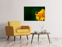 Load image into Gallery viewer, Canvas print Ladybug on the sunflower

