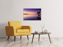 Load image into Gallery viewer, Canvas print Sunset on the tree in the water
